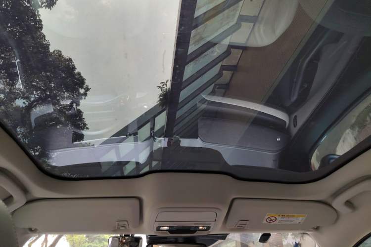 Used Ford Mustang Mach-E 2021 AION Y Plus Rear-Drive Luxury Edition (Long Range) Headliner