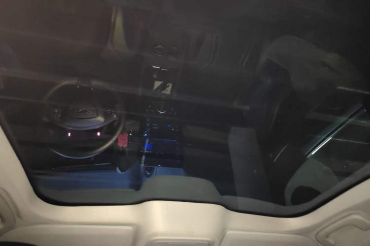 Used Ford Mustang Mach-E 2021 AION Y Plus Rear-Drive Luxury Edition (Long Range) Headliner