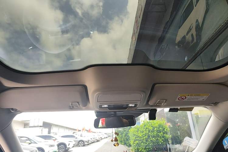 Used Ford Mustang Mach-E 2021 AION Y Plus Rear-Drive Luxury Edition (Long Range) Headliner