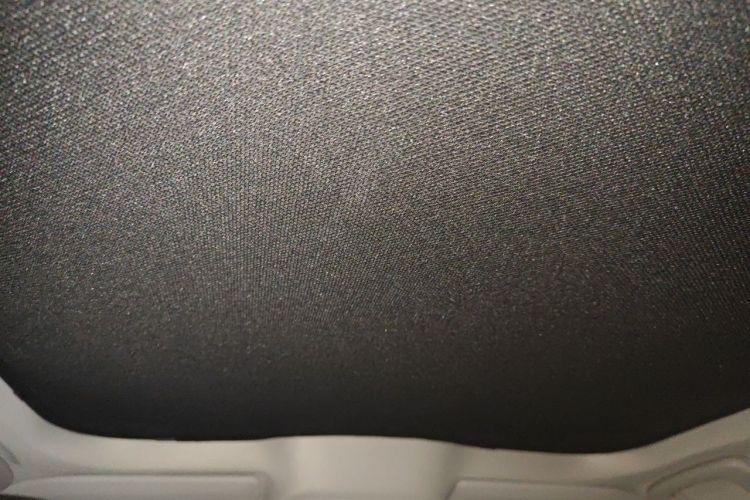 Used Ford Mustang Mach-E 2021 AION Y Plus Rear-Drive Luxury Edition (Long Range) Headliner
