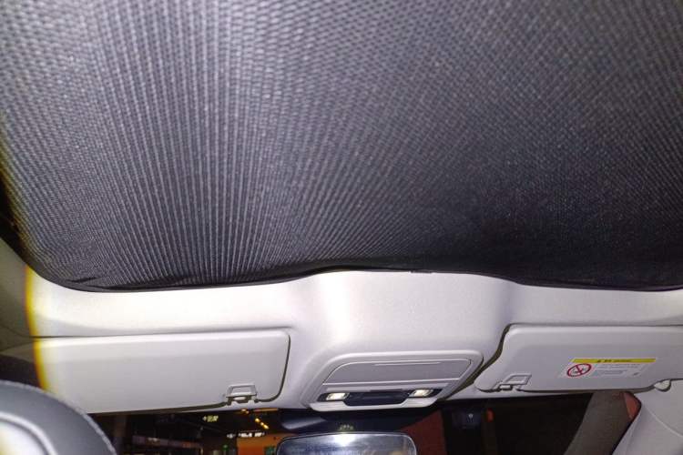Used Ford Mustang Mach-E 2021 Leap Edition Rear-Drive Version (Standard Range) Headliner