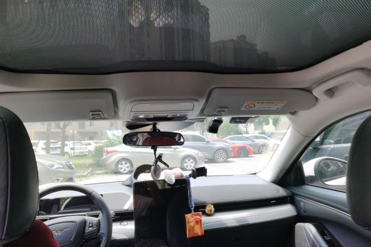 Used Ford Mustang Mach-E 2021 Leap Edition Rear-Drive Version (Standard Range) Headliner