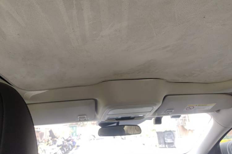 Used Ford Mustang Mach-E 2021 Leap Edition Rear-Drive Version (Standard Range) Headliner