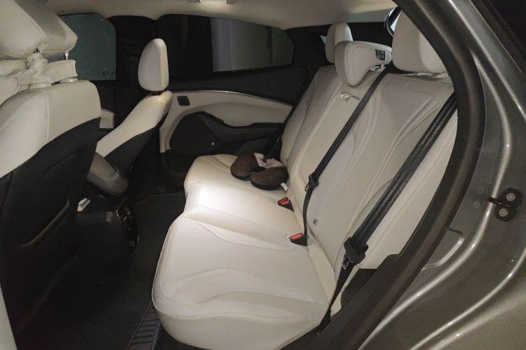 Used Ford Mustang Mach-E 2021 AION Y Plus Rear-Drive Luxury Edition (Long Range) Left Rear Seat