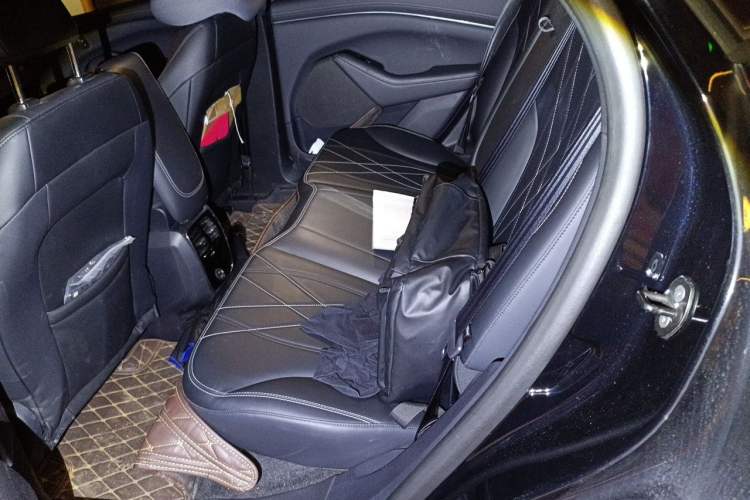 Used Ford Mustang Mach-E 2021 Leap Edition Rear-Drive Version (Standard Range) Left Rear Seat