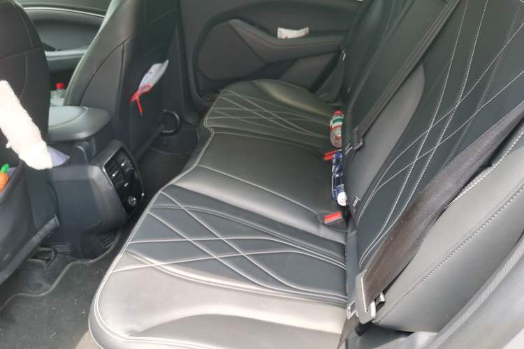 Used Ford Mustang Mach-E 2021 Leap Edition Rear-Drive Version (Standard Range) Left Rear Seat