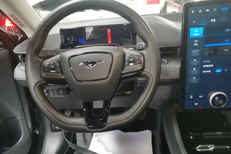 Used Ford Mustang Mach-E 2021 Wujiang Rear-Drive Version (Long Range) Steering Wheel