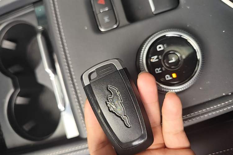 Used Ford Mustang Mach-E 2021 AION Y Plus Rear-Drive Luxury Edition (Long Range) Vehicle Key