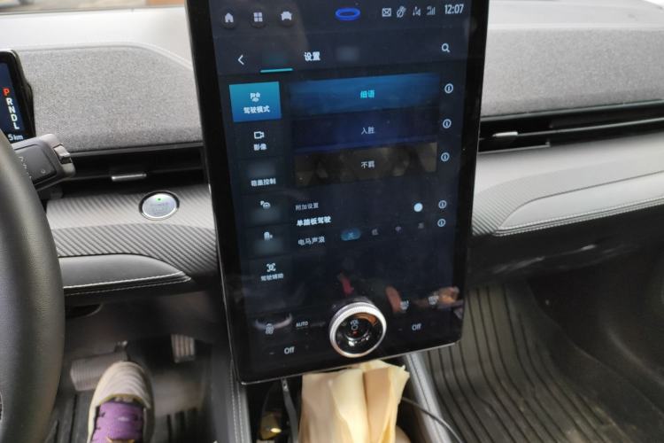 Used Ford Mustang Mach-E 2021 AION Y Plus Rear-Drive Luxury Edition (Long Range) Audio And AC Panel
