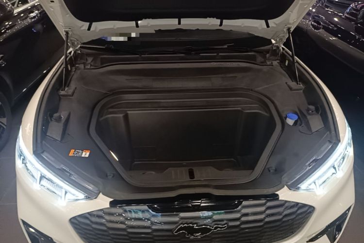Used Ford Mustang Mach-E 2021 AION Y Plus Rear-Drive Luxury Edition (Long Range) Engine Bay