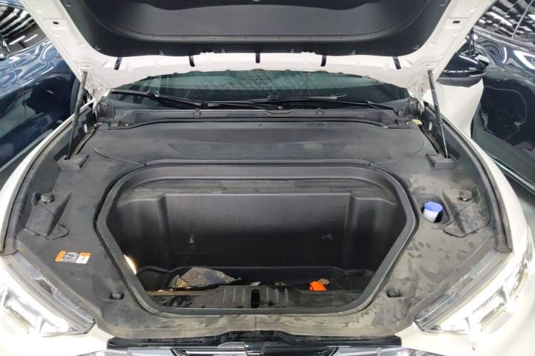 Used Ford Mustang Mach-E 2021 Wujiang Rear-Drive Version (Long Range) Engine Bay