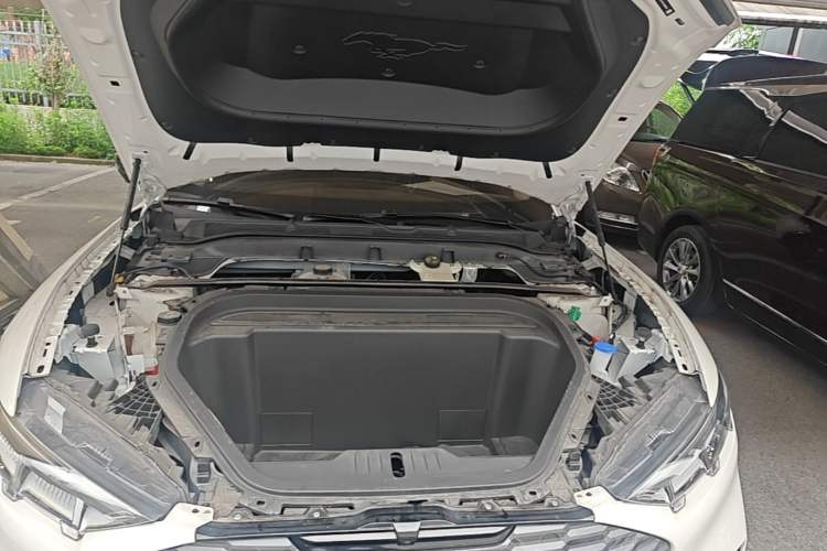 Used Ford Mustang Mach-E 2021 AION Y Plus Rear-Drive Luxury Edition (Long Range) Engine Bay