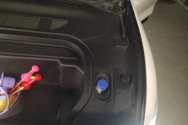 Used Ford Mustang Mach-E 2021 AION Y Plus Rear-Drive Luxury Edition (Long Range) Engine Bay Left
