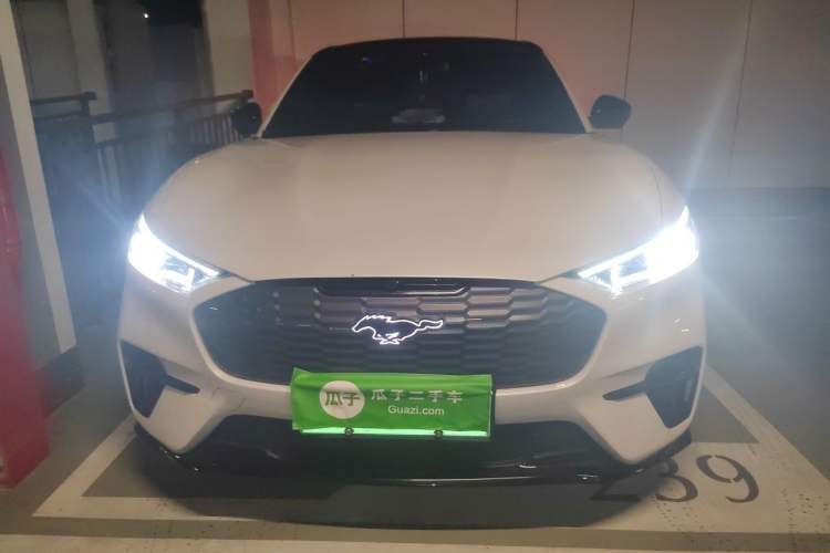 Used Ford Mustang Mach-E 2021 AION Y Plus Rear-Drive Luxury Edition (Long Range) Front