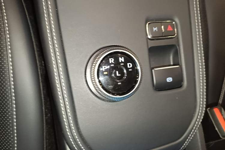 Used Ford Mustang Mach-E 2021 AION Y Plus Rear-Drive Luxury Edition (Long Range) Gear Lever