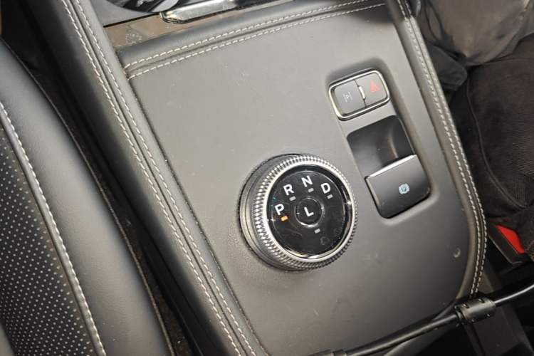 Used Ford Mustang Mach-E 2021 AION Y Plus Rear-Drive Luxury Edition (Long Range) Gear Lever