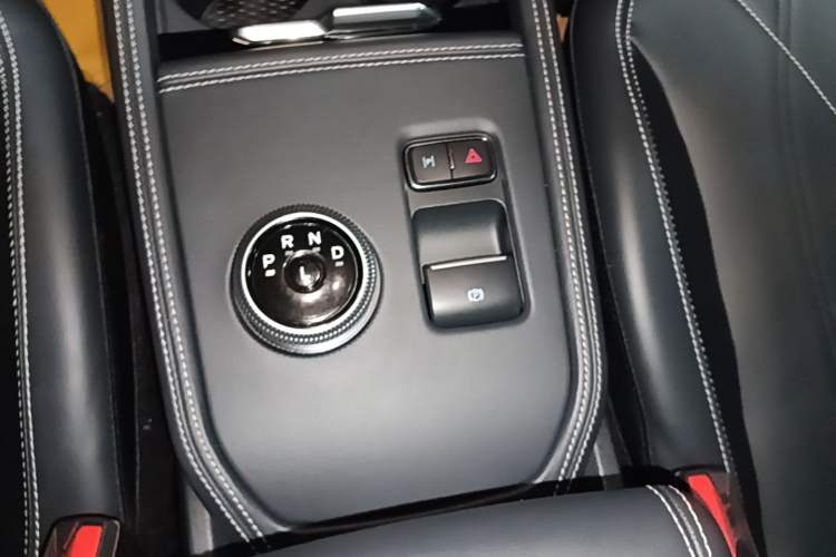 Used Ford Mustang Mach-E 2021 Leap Edition Rear-Drive Version (Standard Range) Gear Lever