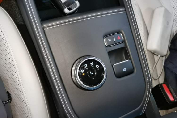 Used Ford Mustang Mach-E 2021 AION Y Plus Rear-Drive Luxury Edition (Long Range) Gear Lever