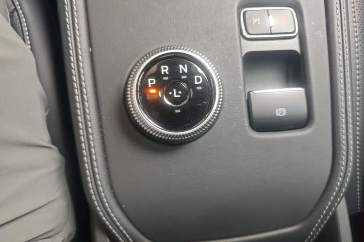 Used Ford Mustang Mach-E 2021 AION Y Plus Rear-Drive Luxury Edition (Long Range) Gear Lever