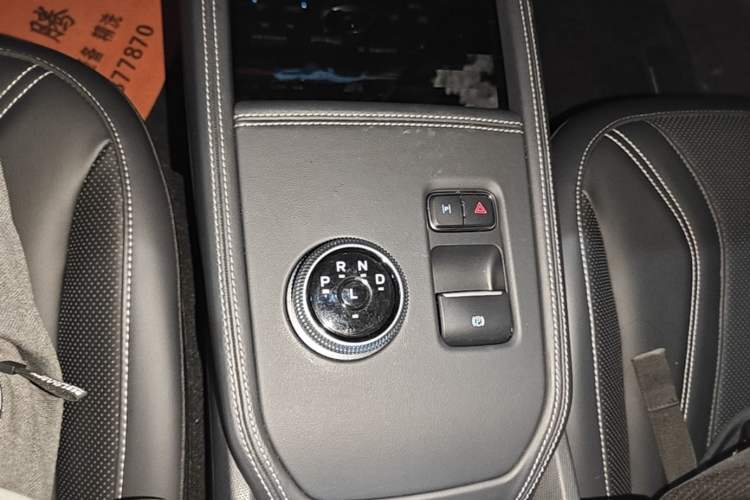 Used Ford Mustang Mach-E 2021 AION Y Plus Rear-Drive Luxury Edition (Long Range) Gear Lever
