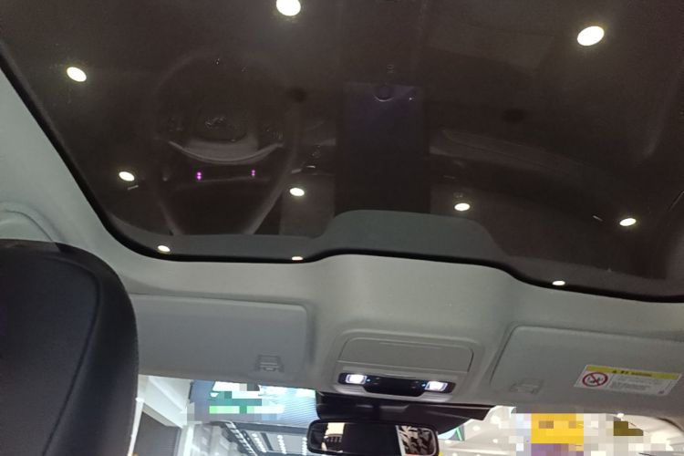 Used Ford Mustang Mach-E 2021 AION Y Plus Rear-Drive Luxury Edition (Long Range) Headliner