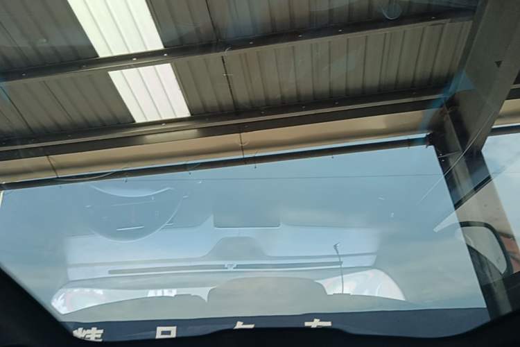 Used Ford Mustang Mach-E 2021 AION Y Plus Rear-Drive Luxury Edition (Long Range) Headliner