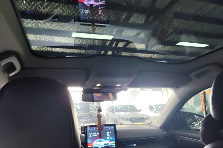 Used Ford Mustang Mach-E 2021 Wujiang Rear-Drive Version (Long Range) Headliner
