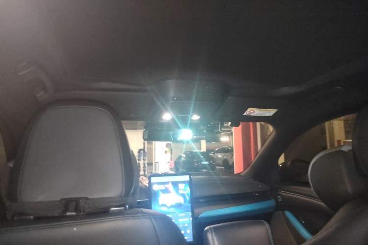Used Ford Mustang Mach-E 2021 AION Y Plus Rear-Drive Luxury Edition (Long Range) Headliner