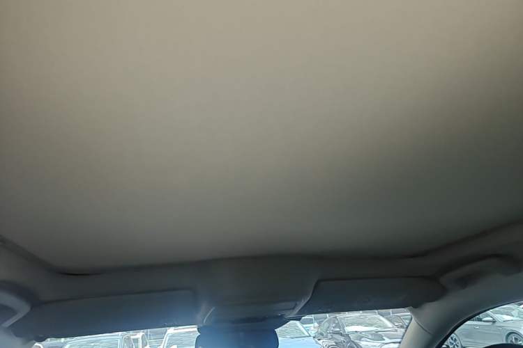 Used Ford Mustang Mach-E 2021 AION Y Plus Rear-Drive Luxury Edition (Long Range) Headliner