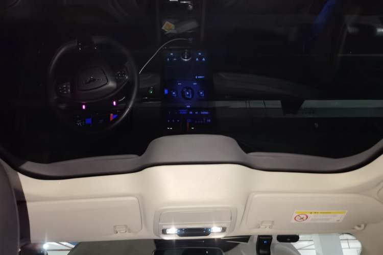 Used Ford Mustang Mach-E 2021 AION Y Plus Rear-Drive Luxury Edition (Long Range) Headliner