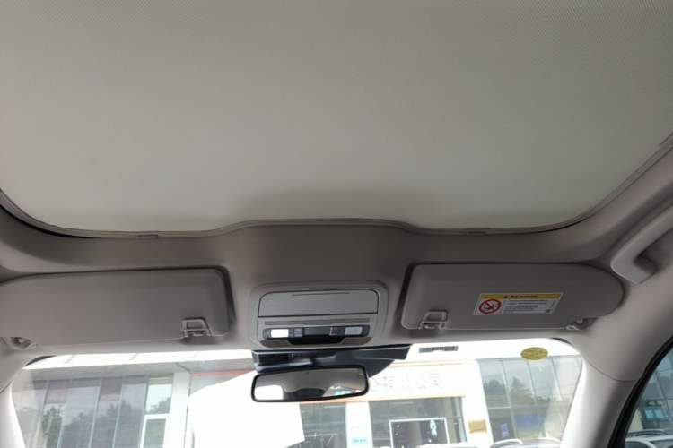 Used Ford Mustang Mach-E 2021 AION Y Plus Rear-Drive Luxury Edition (Long Range) Headliner
