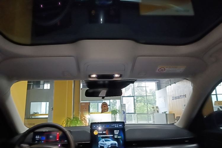 Used Ford Mustang Mach-E 2021 Leap Edition Rear-Drive Version (Standard Range) Headliner
