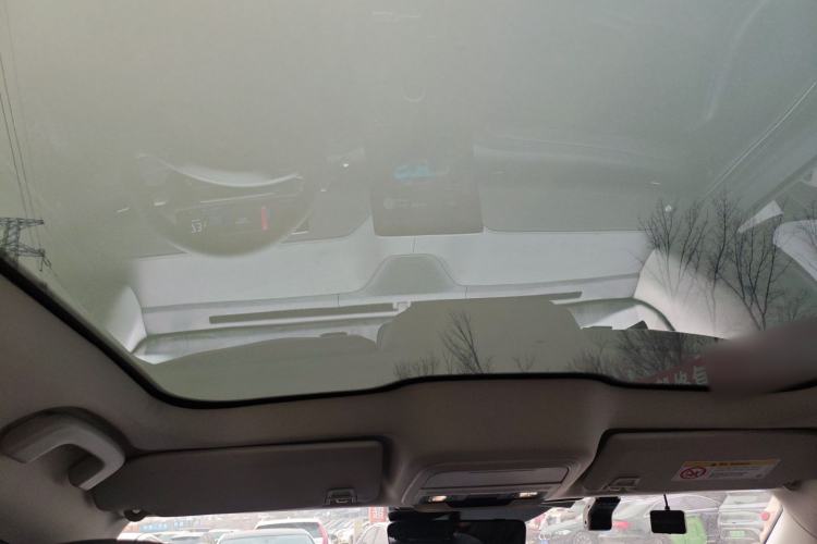Used Ford Mustang Mach-E 2021 AION Y Plus Rear-Drive Luxury Edition (Long Range) Headliner