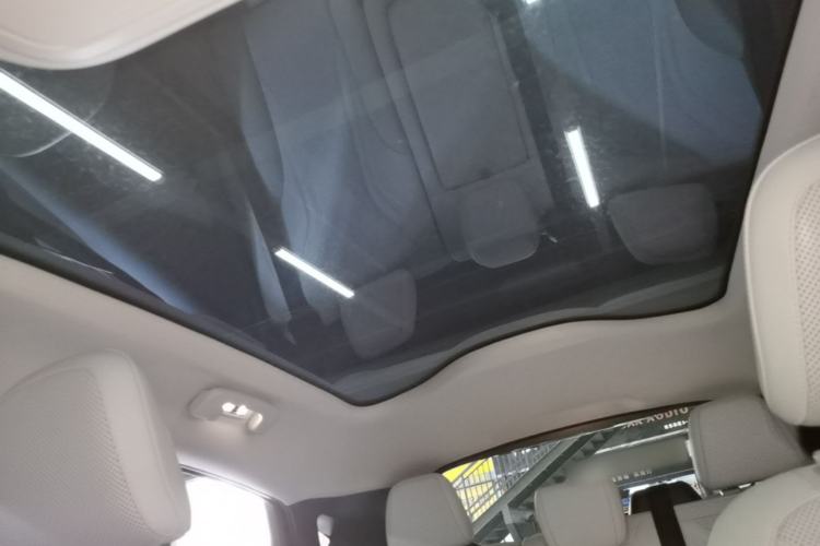 Used Ford Mustang Mach-E 2021 AION Y Plus Rear-Drive Luxury Edition (Long Range) Headliner