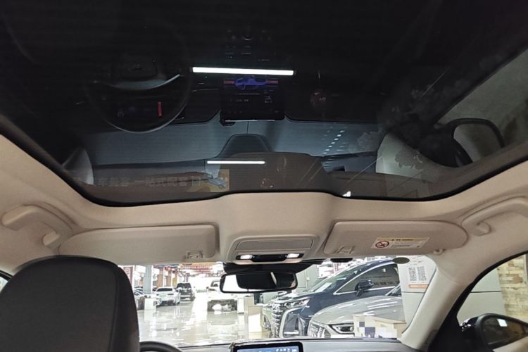 Used Ford Mustang Mach-E 2021 AION Y Plus Rear-Drive Luxury Edition (Long Range) Headliner