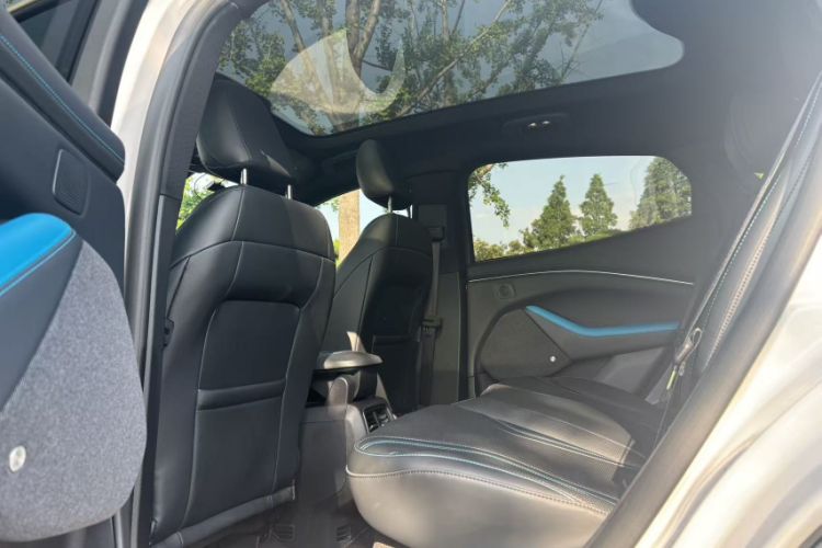 Used Ford Mustang Mach-E 2021 AION Y Plus Rear-Drive Luxury Edition (Long Range) Interior 4