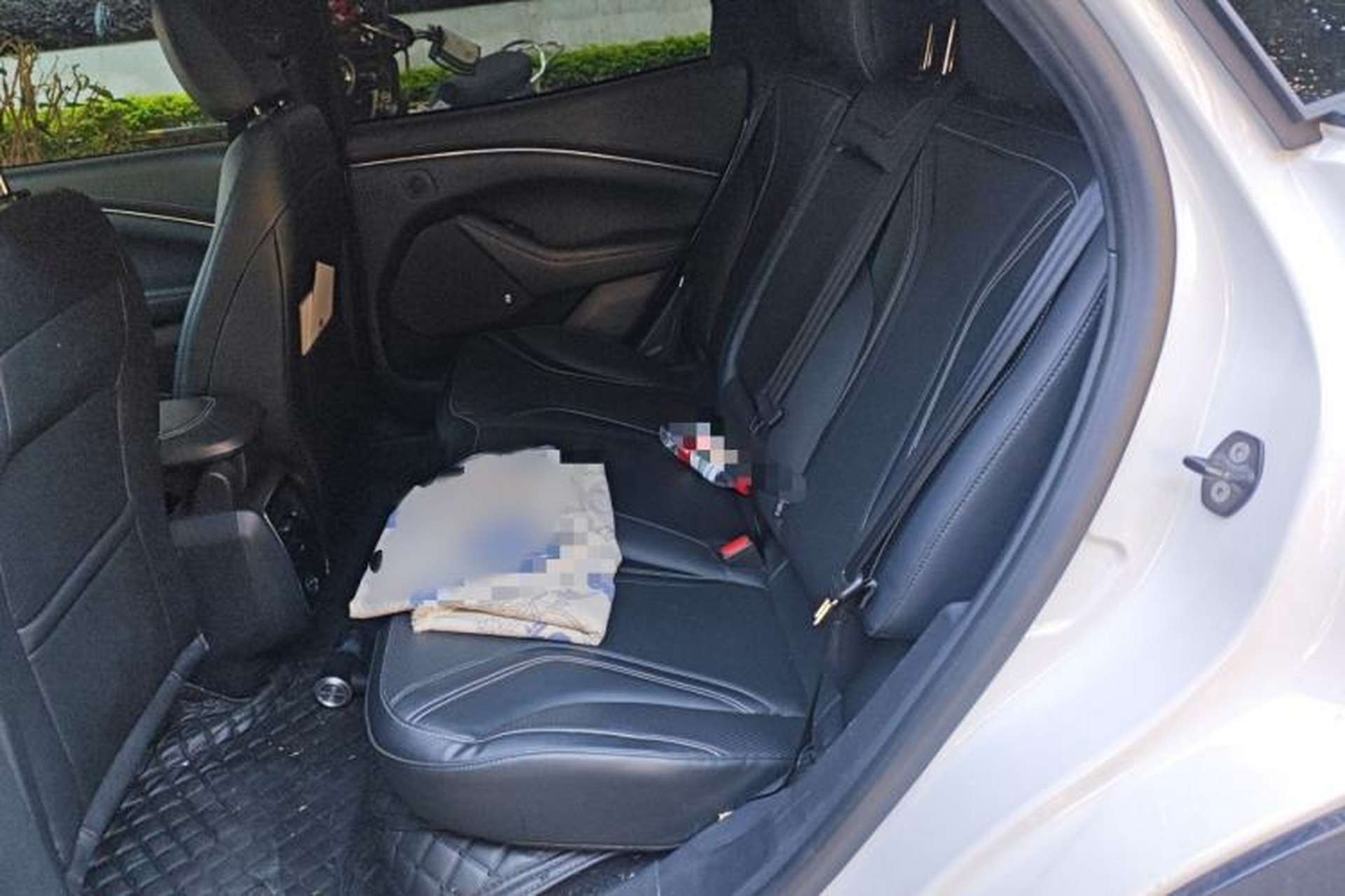 Used Ford Mustang Mach-E 2021 AION Y Plus Rear-Drive Luxury Edition (Long Range) Interior 4