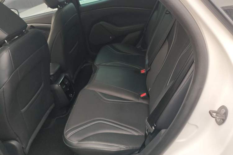 Used Ford Mustang Mach-E 2021 AION Y Plus Rear-Drive Luxury Edition (Long Range) Interior 4