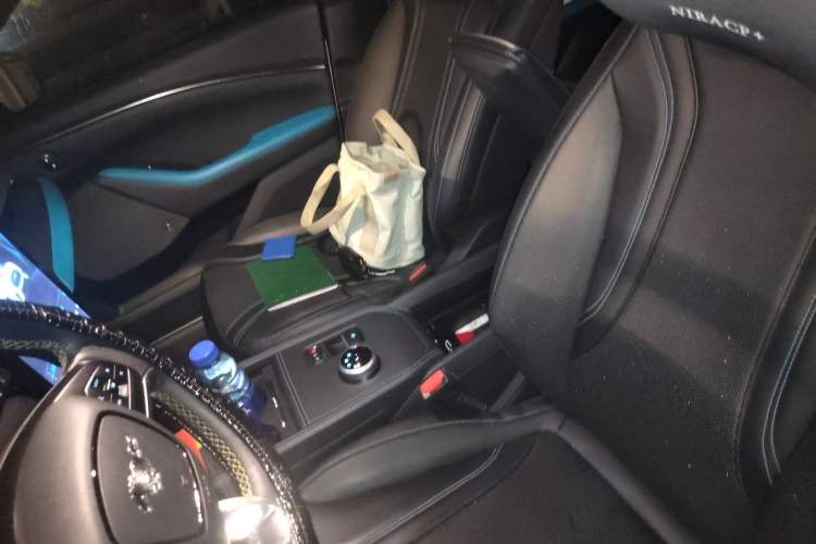 Used Ford Mustang Mach-E 2021 AION Y Plus Rear-Drive Luxury Edition (Long Range) Left Front Seat