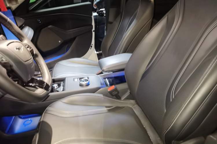 Used Ford Mustang Mach-E 2021 AION Y Plus Rear-Drive Luxury Edition (Long Range) Left Front Seat