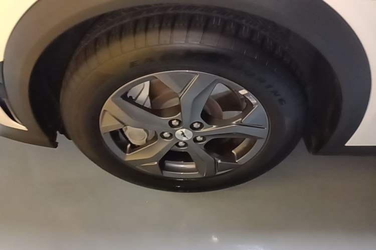 Used Ford Mustang Mach-E 2021 Leap Edition Rear-Drive Version (Standard Range) Left Front Wheel Hub