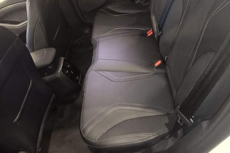 Used Ford Mustang Mach-E 2021 AION Y Plus Rear-Drive Luxury Edition (Long Range) Left Rear Seat