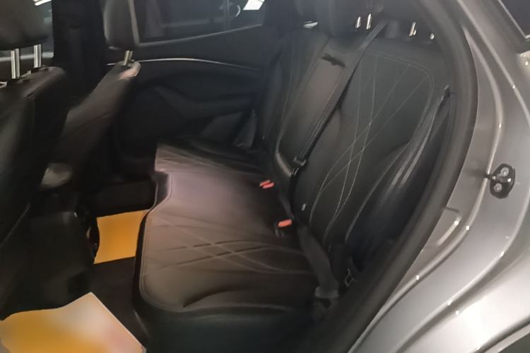 Used Ford Mustang Mach-E 2021 Leap Edition Rear-Drive Version (Standard Range) Left Rear Seat