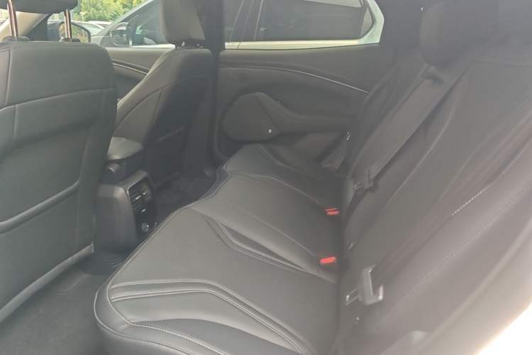 Used Ford Mustang Mach-E 2021 AION Y Plus Rear-Drive Luxury Edition (Long Range) Left Rear Seat