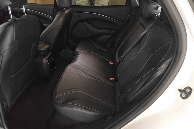 Used Ford Mustang Mach-E 2021 AION Y Plus Rear-Drive Luxury Edition (Long Range) Left Rear Seat
