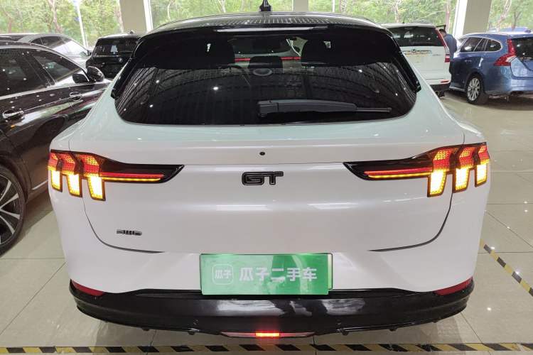 Used Ford Mustang Mach-E 2021 GT Model Rear