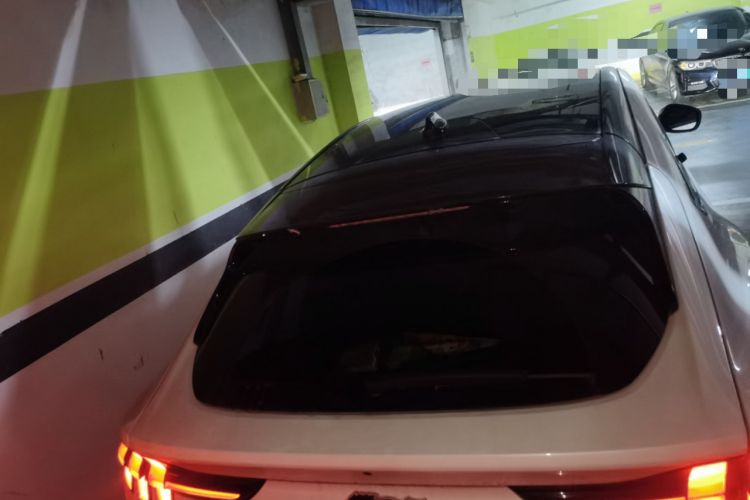 Used Ford Mustang Mach-E 2021 AION Y Plus Rear-Drive Luxury Edition (Long Range) Rear