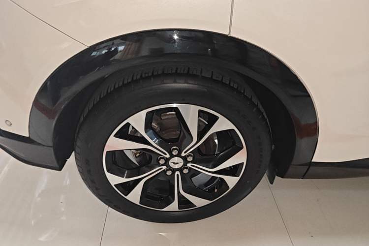 Used Ford Mustang Mach-E 2021 AION Y Plus Rear-Drive Luxury Edition (Long Range) Right Rear Wheel Hub