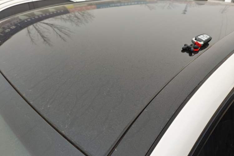 Used Ford Mustang Mach-E 2021 AION Y Plus Rear-Drive Luxury Edition (Long Range) Roof