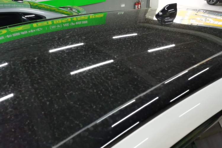 Used Ford Mustang Mach-E 2021 AION Y Plus Rear-Drive Luxury Edition (Long Range) Roof